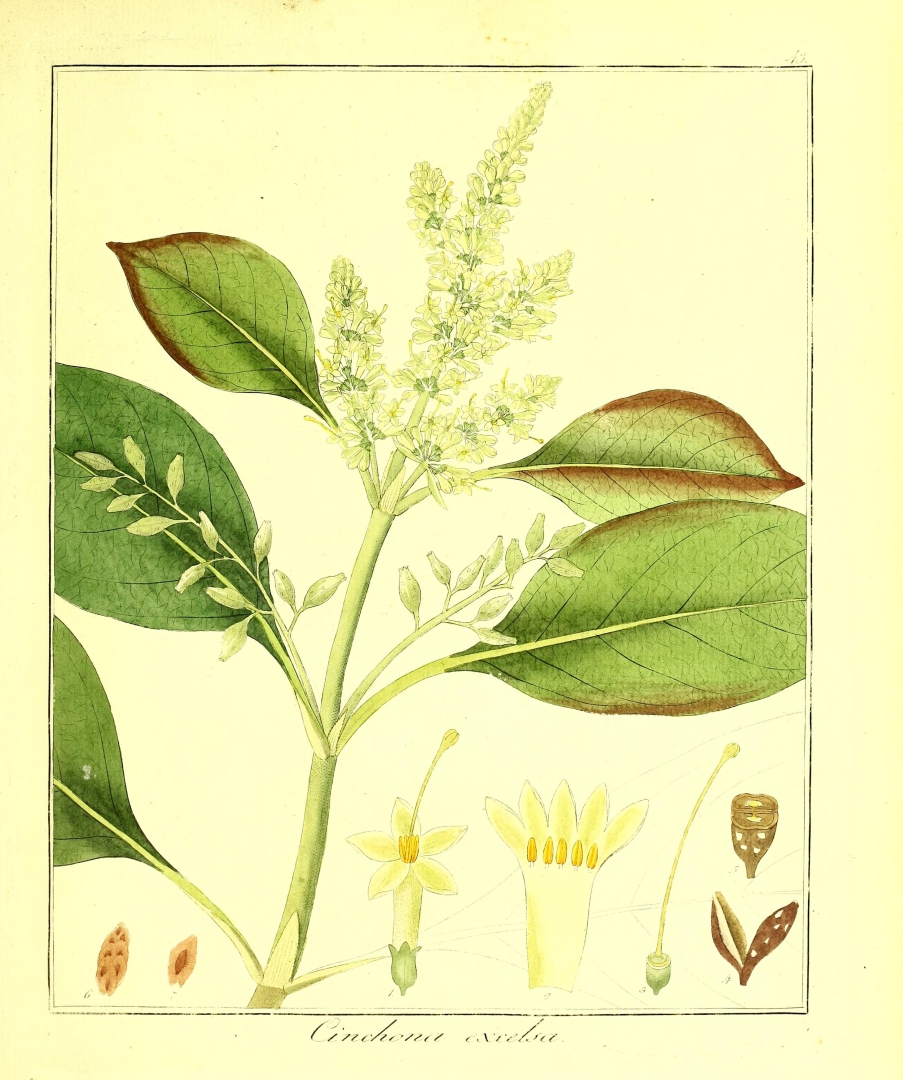 no HD illustration available (3)