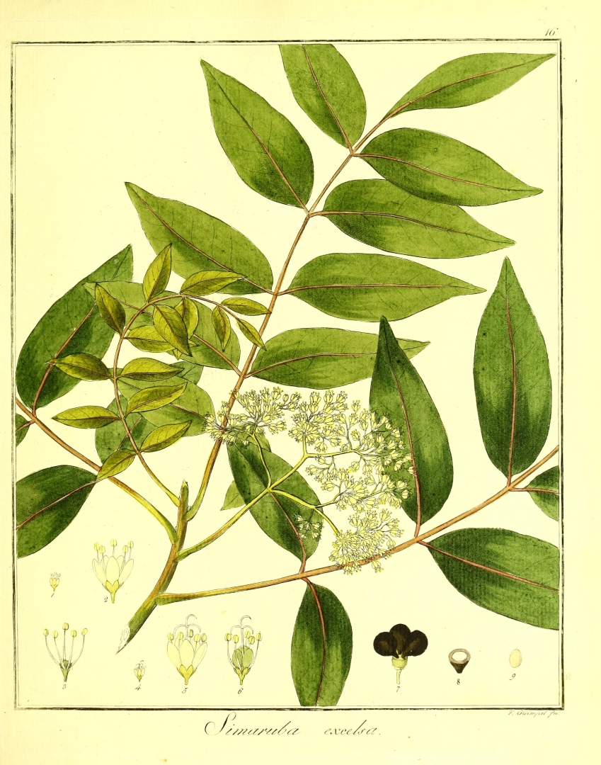 no HD illustration available (3)