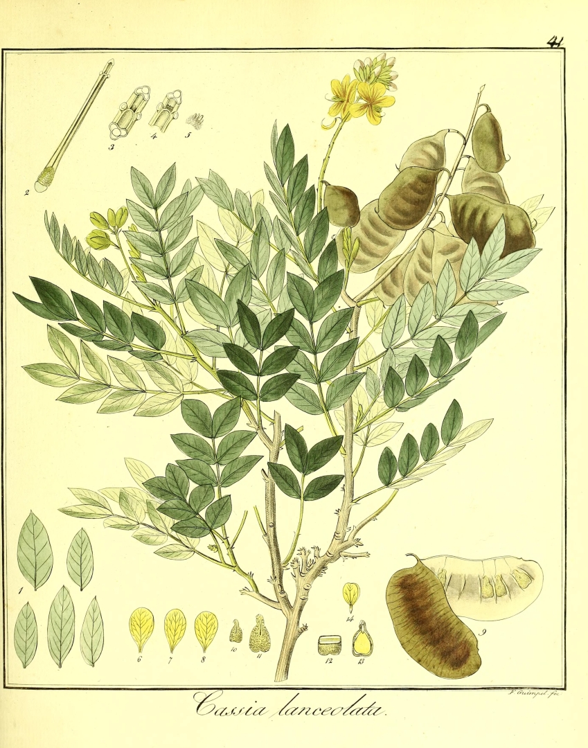 no HD illustration available (3)