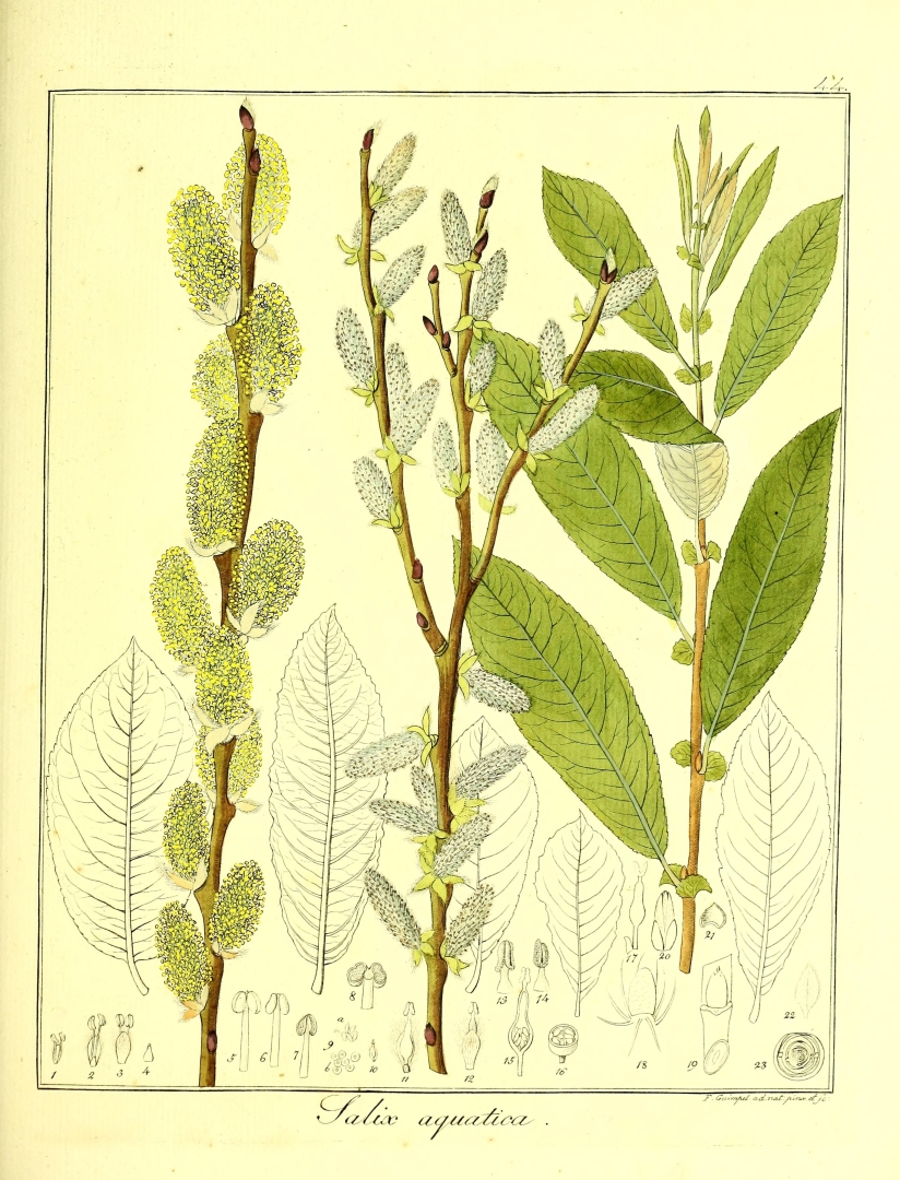 no HD illustration available (3)