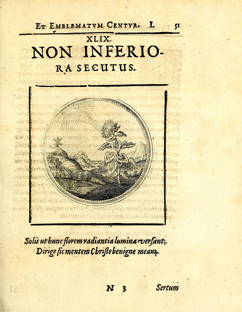 no HD illustration available (3)