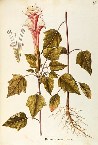 no HD illustration available (3)