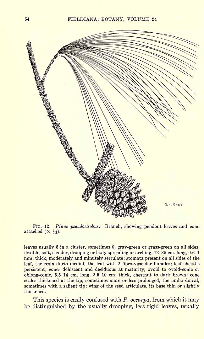 no HD illustration available (3)