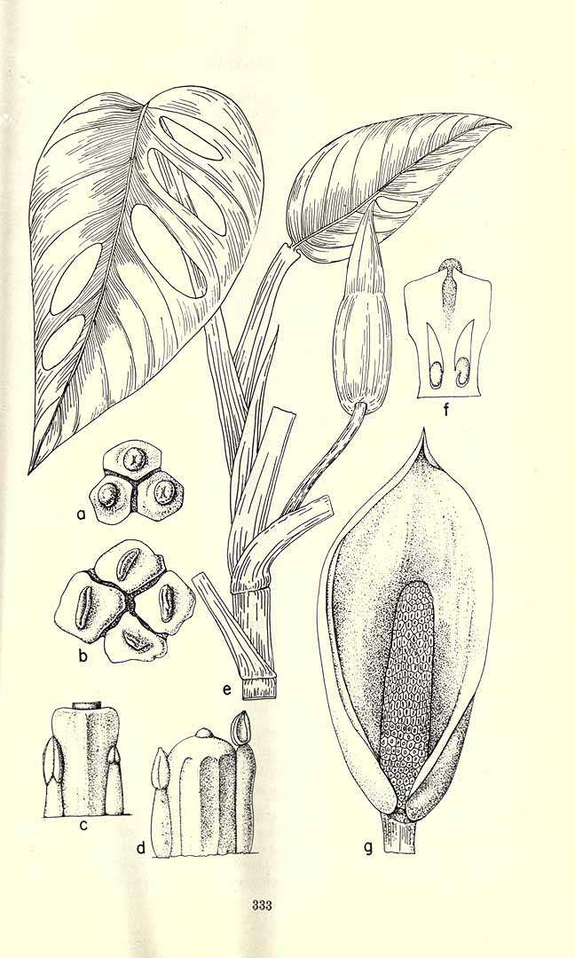 no HD illustration available (3)