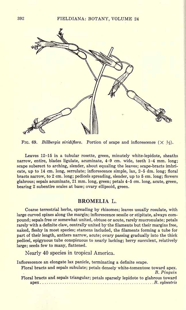 no HD illustration available (3)