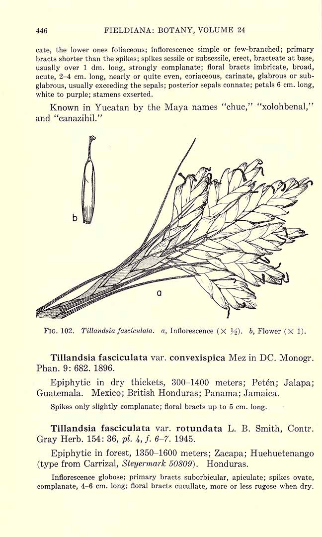 no HD illustration available (3)