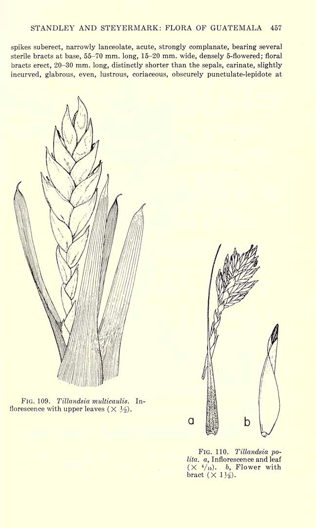 no HD illustration available (3)