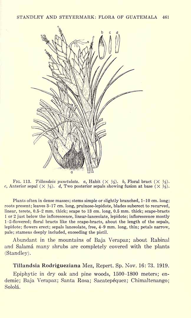 no HD illustration available (3)