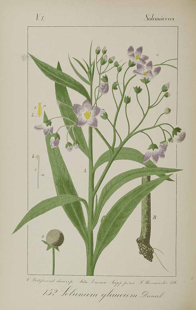 no HD illustration available (3)