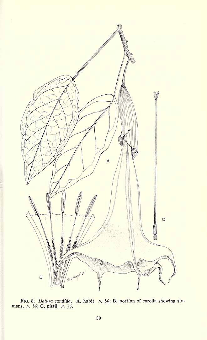 no HD illustration available (3)