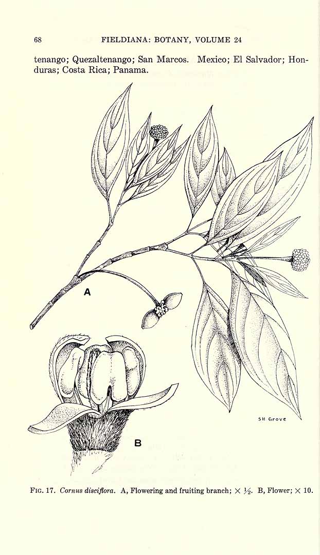 no HD illustration available (3)