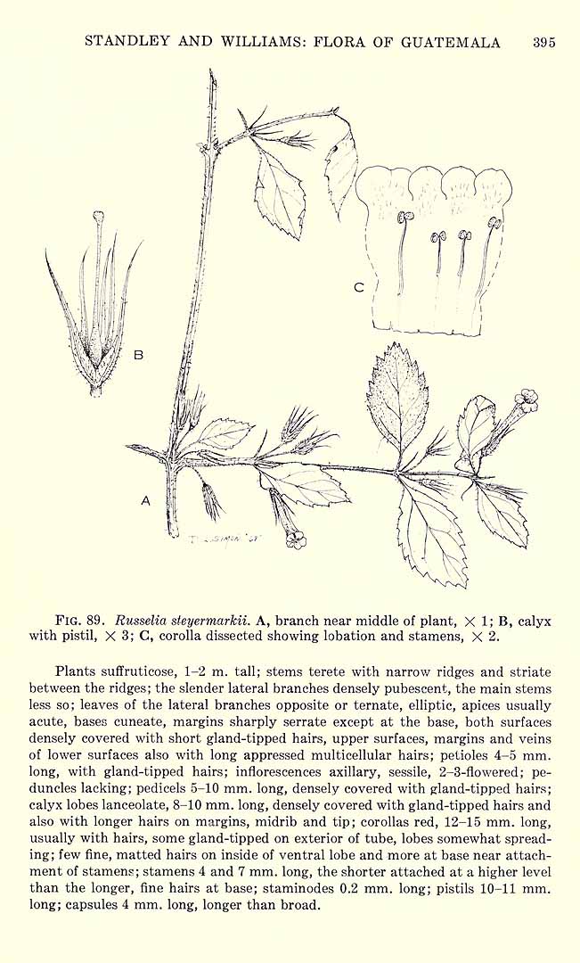 no HD illustration available (3)