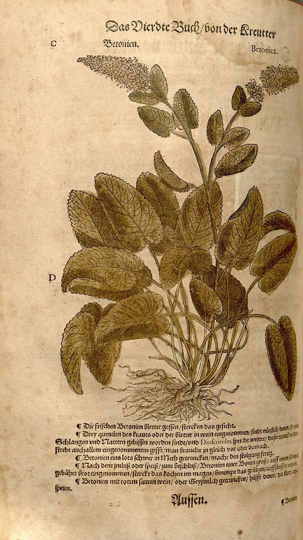 no HD illustration available (3)