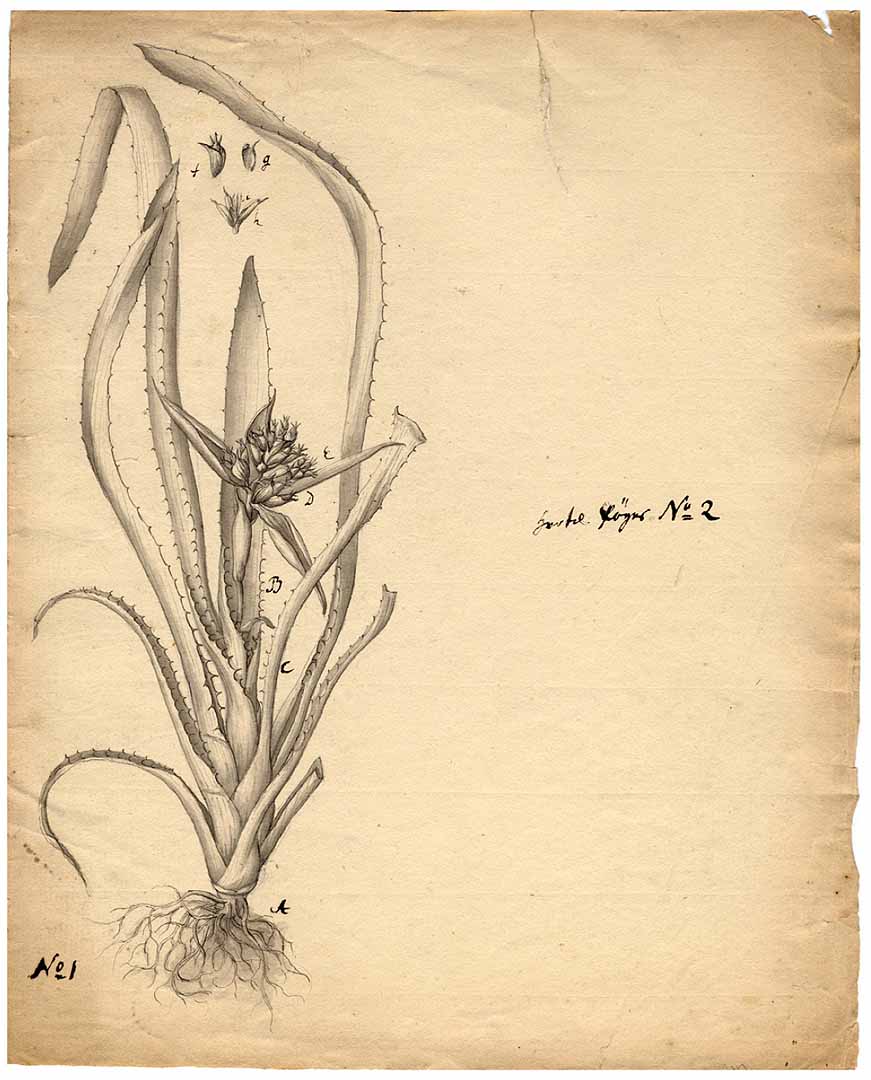 no HD illustration available (3)