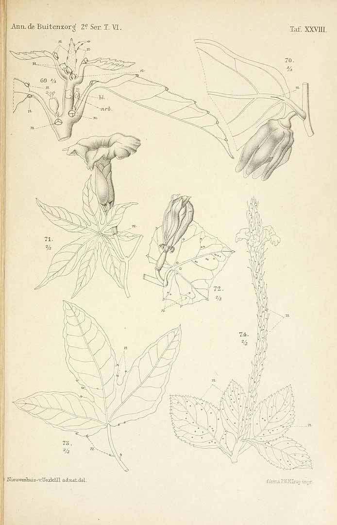 no HD illustration available (3)