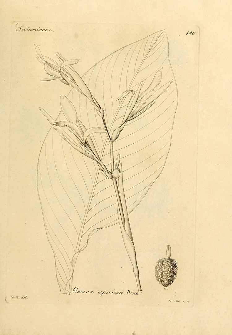 no HD illustration available (3)