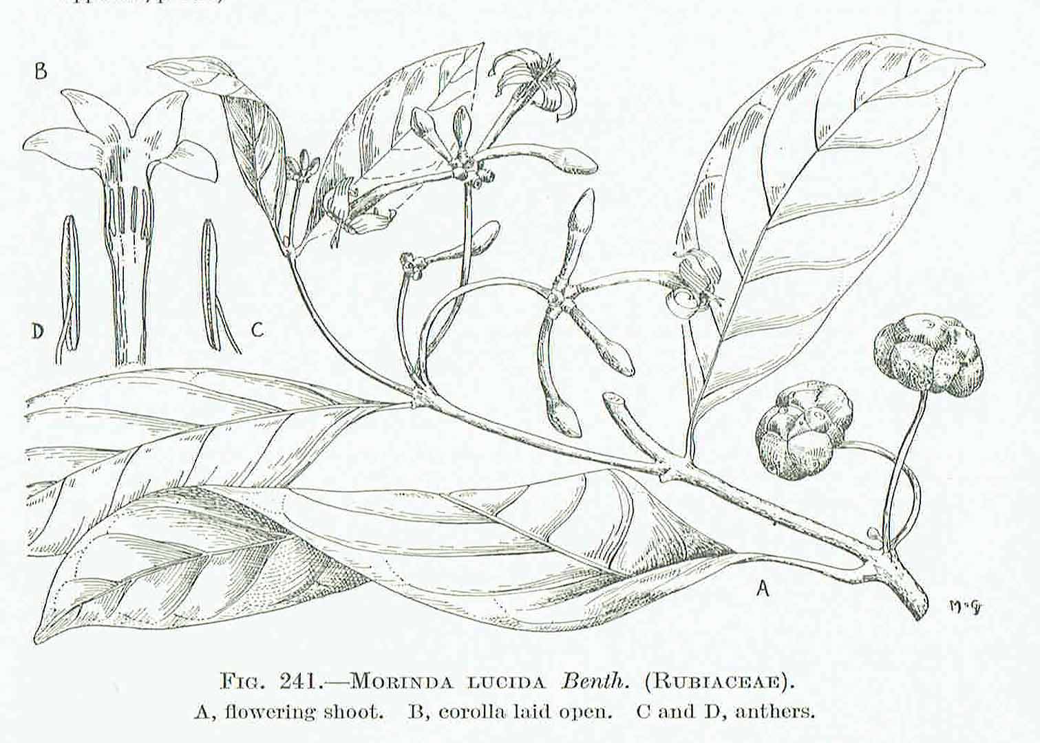 no HD illustration available (3)