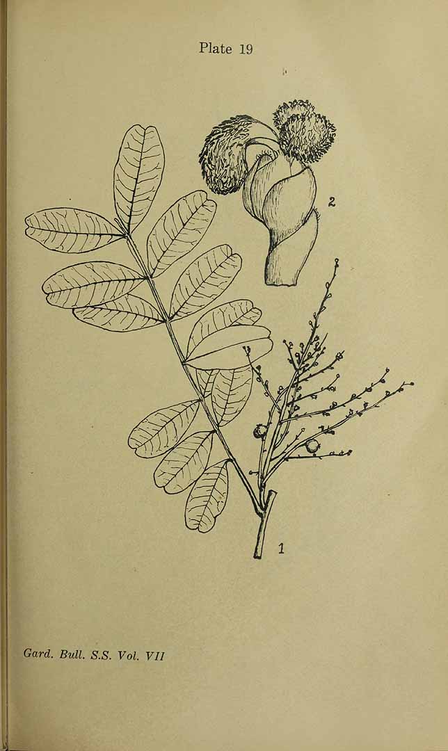 no HD illustration available (3)