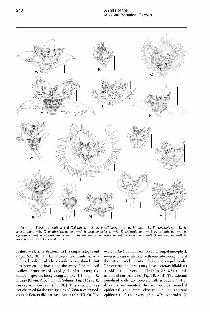 no HD illustration available (3)