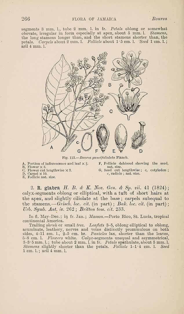 no HD illustration available (3)