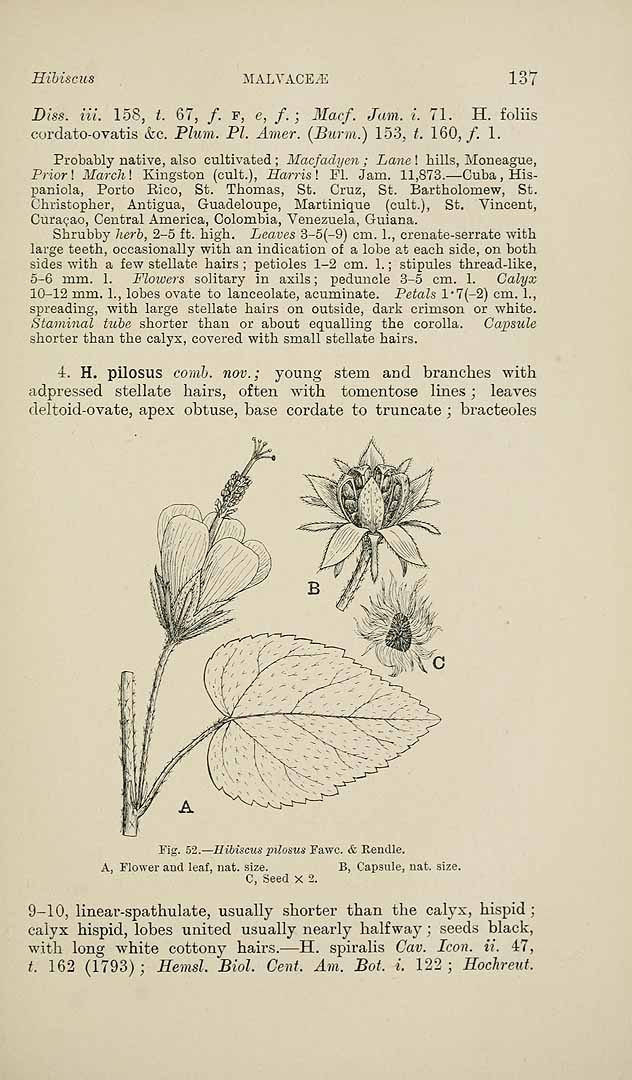 no HD illustration available (3)