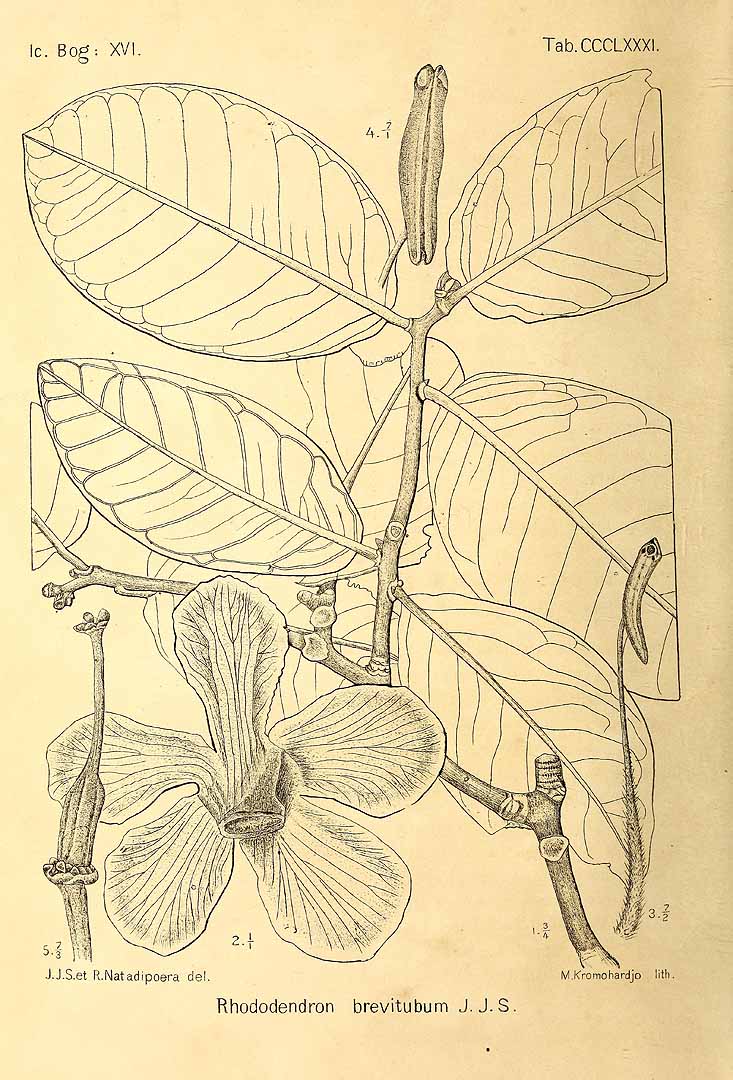 no HD illustration available (3)