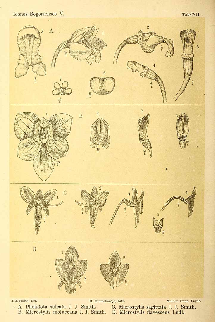 no HD illustration available (3)