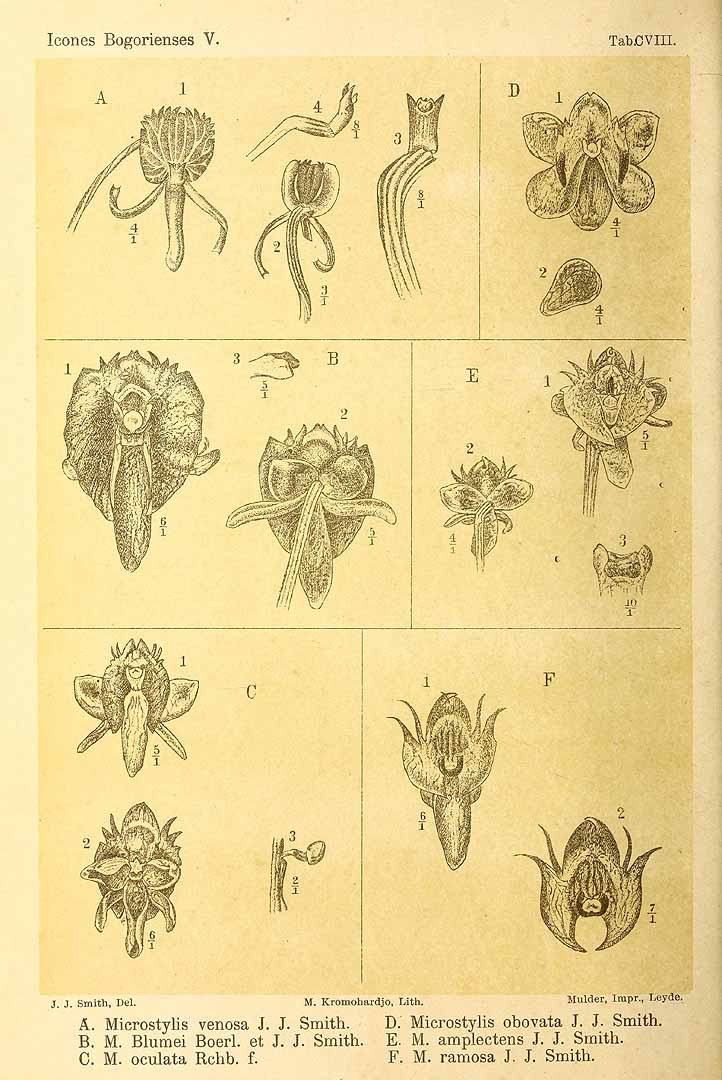 no HD illustration available (3)