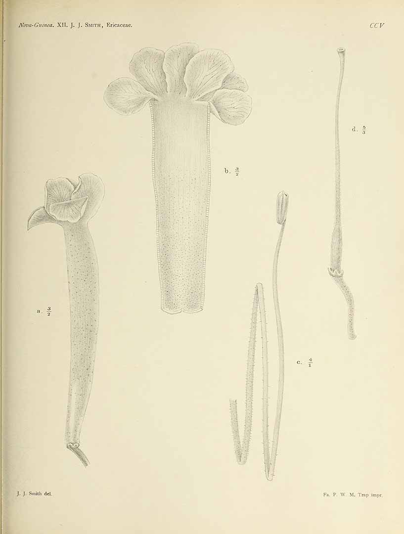 no HD illustration available (3)