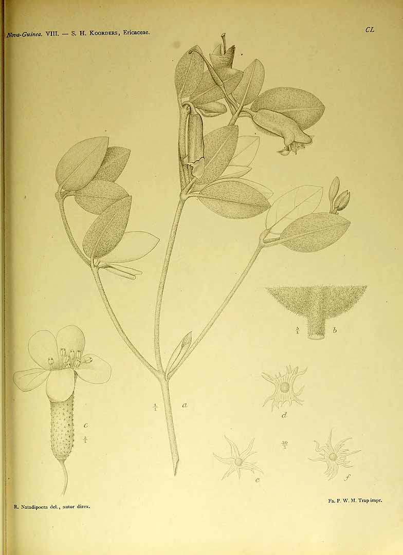 no HD illustration available (3)