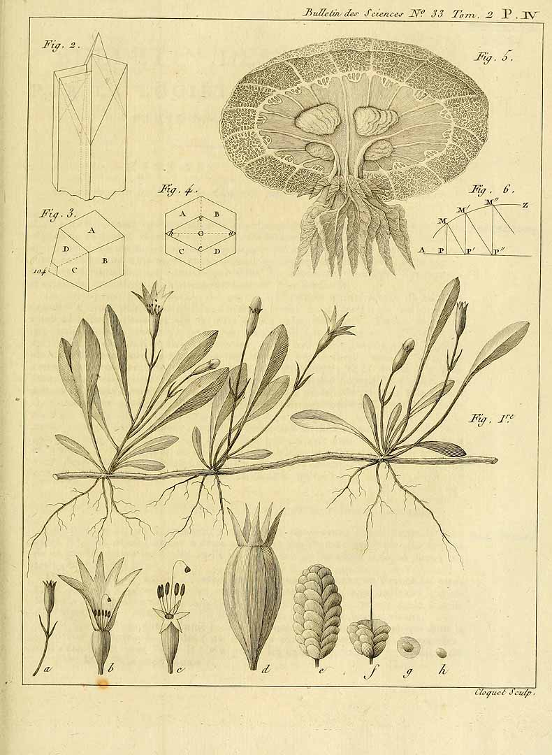 no HD illustration available (3)