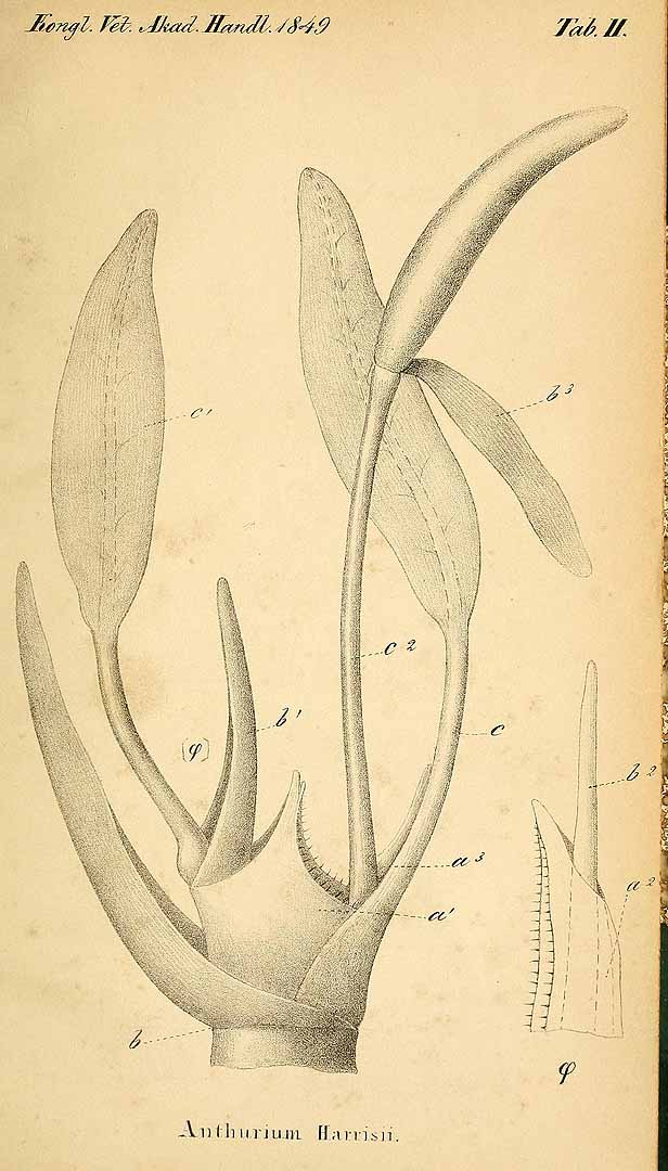 no HD illustration available (3)