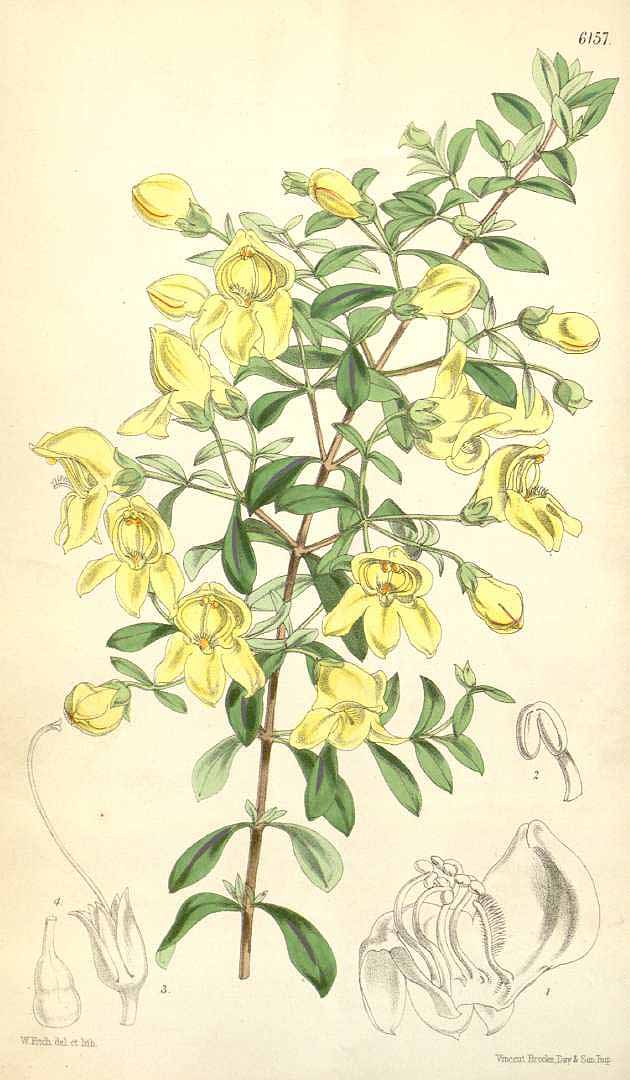 no HD illustration available (3)