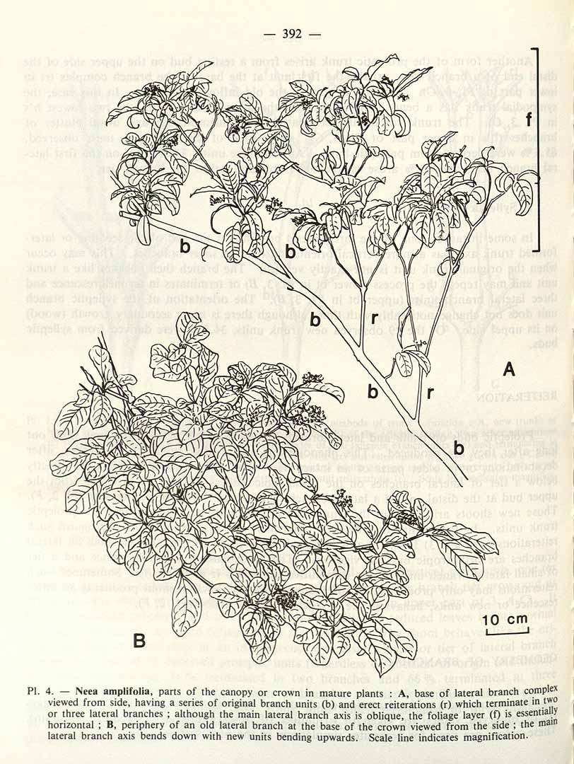 no HD illustration available (3)