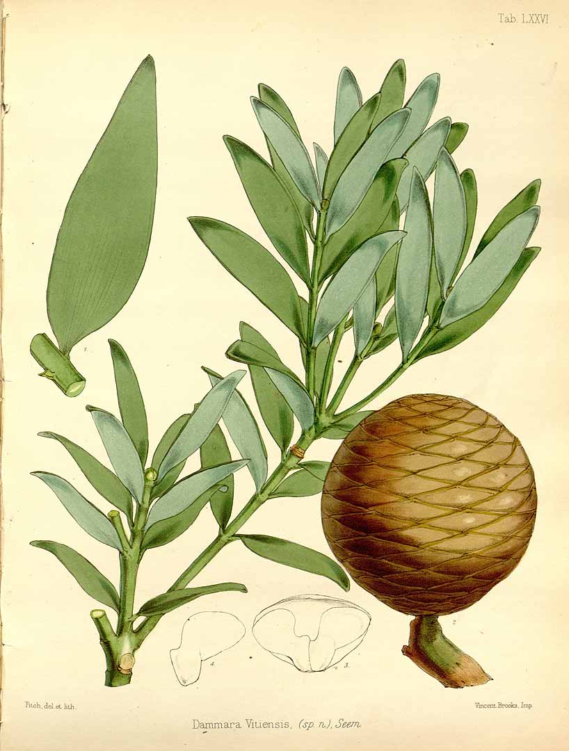 no HD illustration available (3)