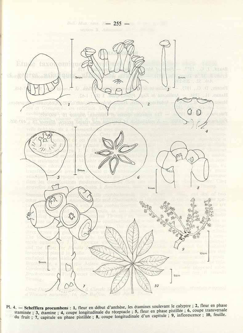 no HD illustration available (3)