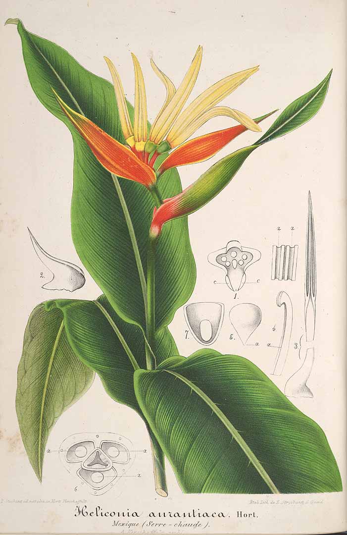 no HD illustration available (3)