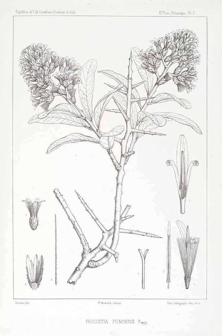 no HD illustration available (3)