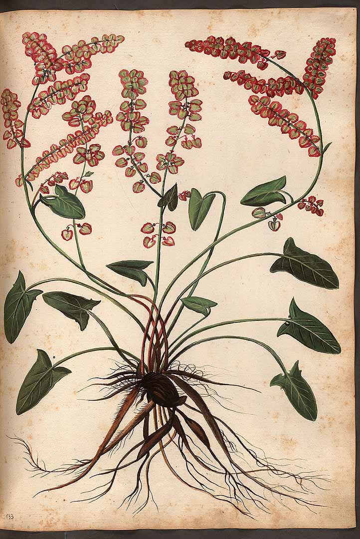 no HD illustration available (3)