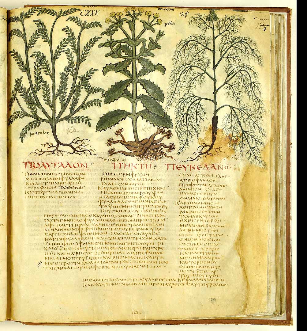 no HD illustration available (3)