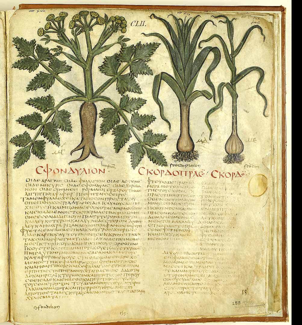 no HD illustration available (3)