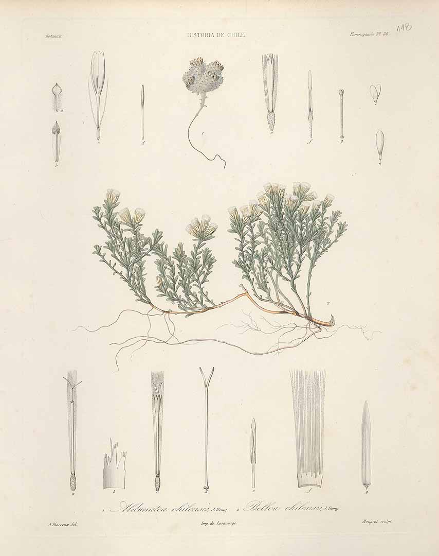 no HD illustration available (3)