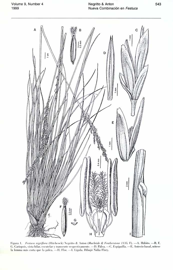 no HD illustration available (3)