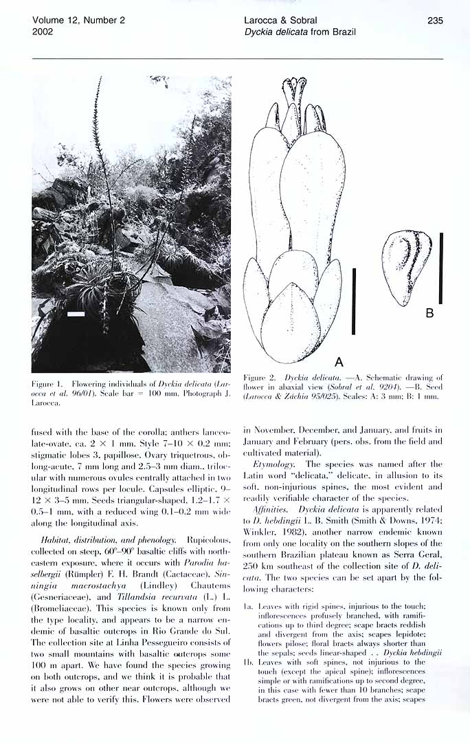 no HD illustration available (3)