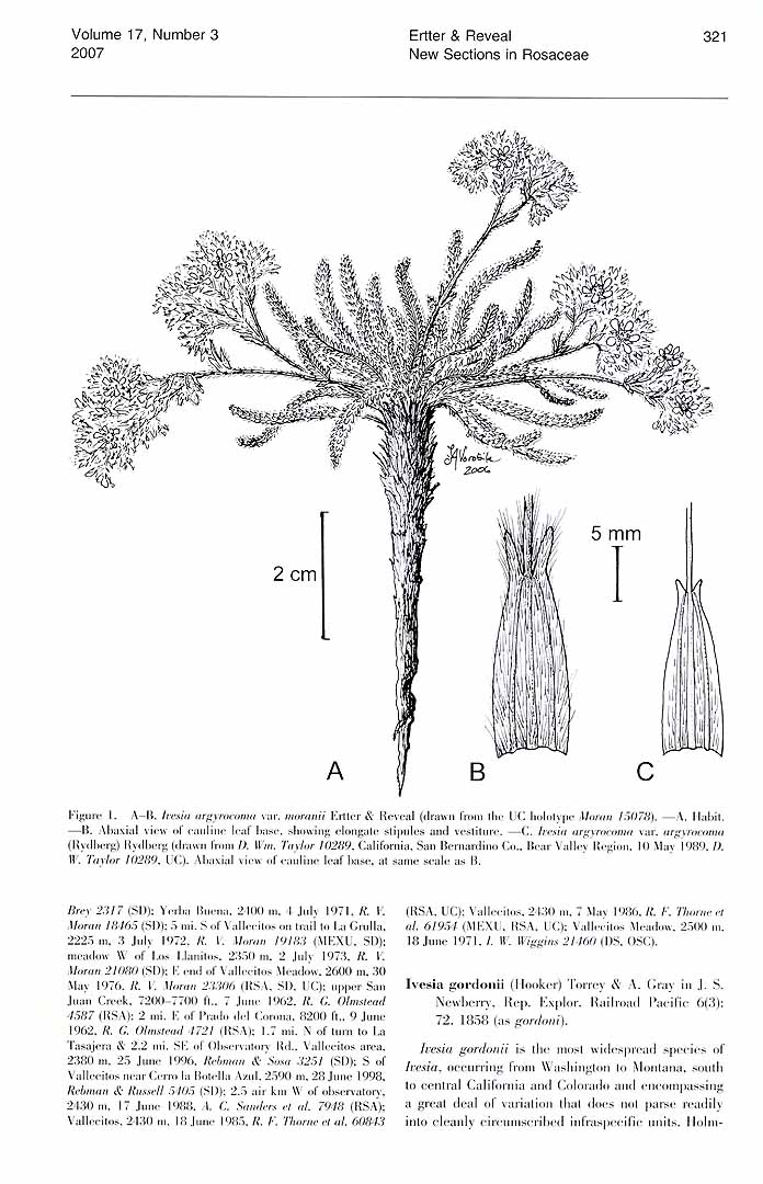 no HD illustration available (3)