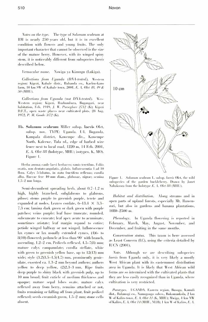 no HD illustration available (3)