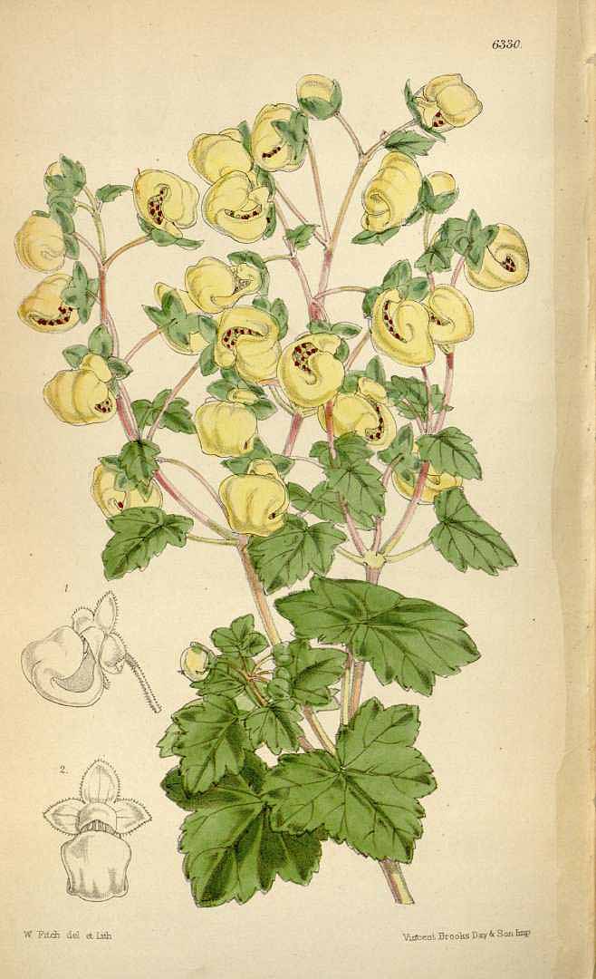 no HD illustration available (3)