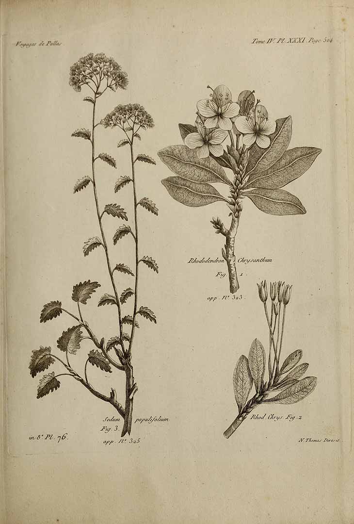 no HD illustration available (3)