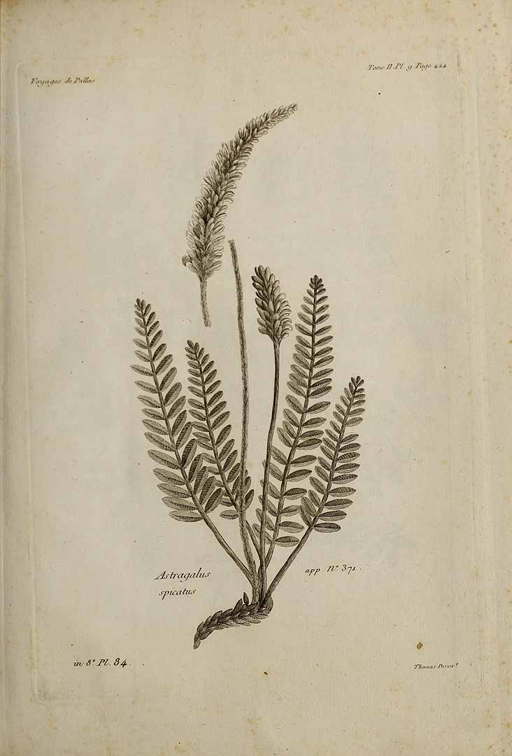 no HD illustration available (3)