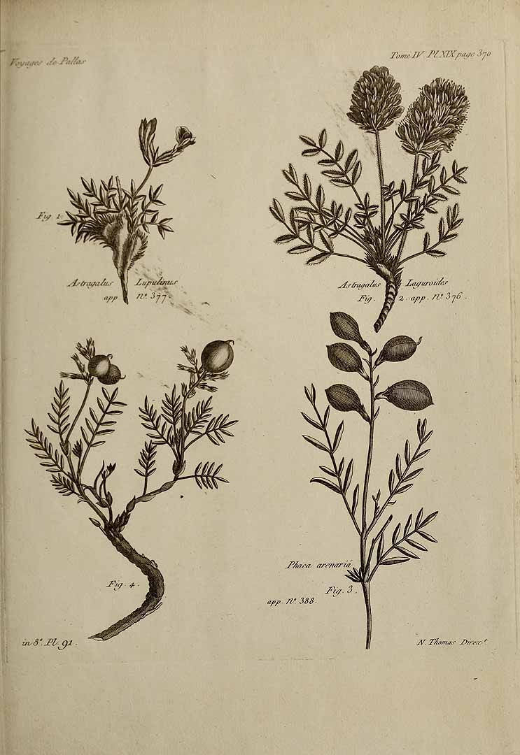 no HD illustration available (3)